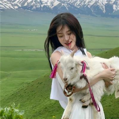 笼中的女儿海报